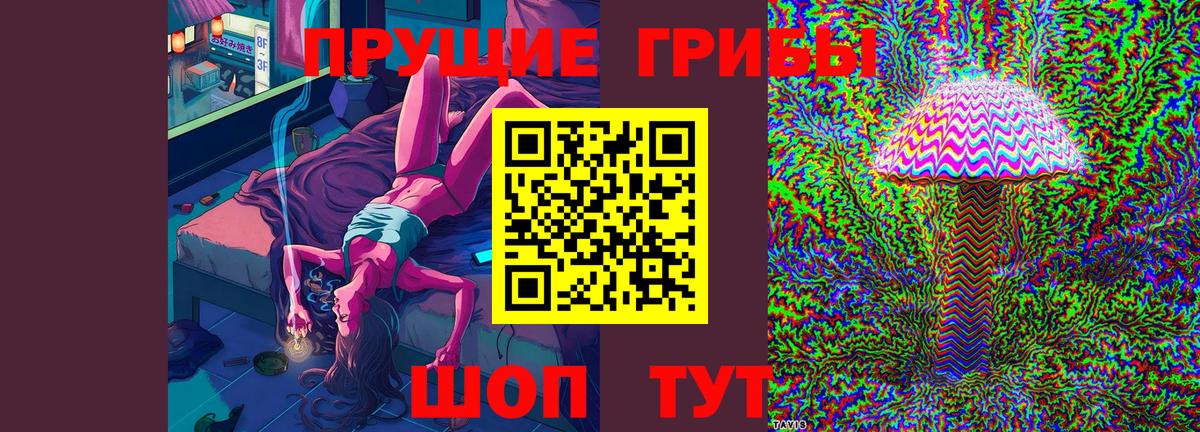 Галлюциногенные грибы GOLDEN TEACHER Казань