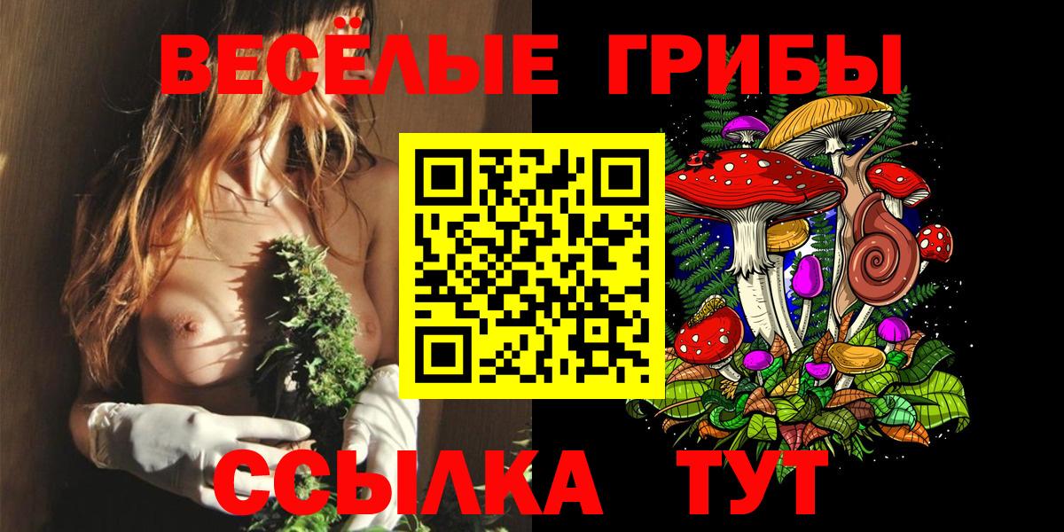 Казань  Псилоцибиновые грибы Psilocybine cubensis  Вход с VPN 